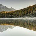 A lake surrounded by mountains and trees